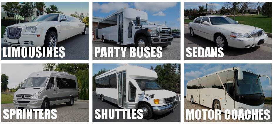 party bus rental